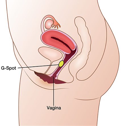 female g spot, how to finger yourself